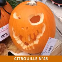 Citrouille n°45