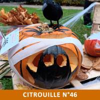 Citrouille n°46