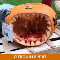 Citrouille n°47