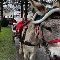 Festivités de Noël