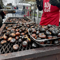 Festivités de Noël