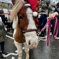 Festivités de Noël