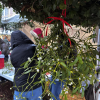 Festivités de Noël