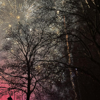 Festivités de Noël