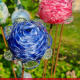 Fête des roses