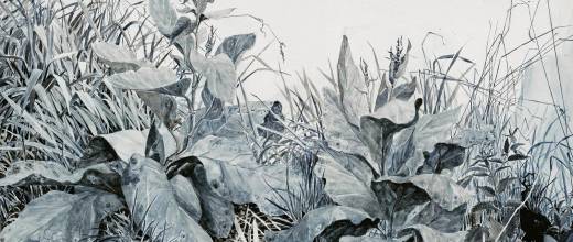 Affiche exposition Claire Illouz. Les abords du paysage