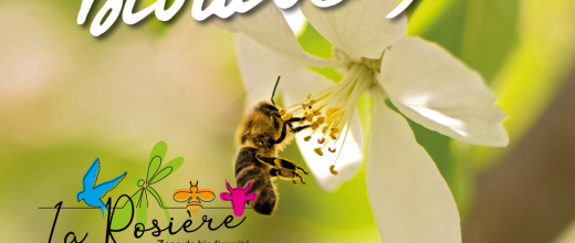 Fête de la nature 2025