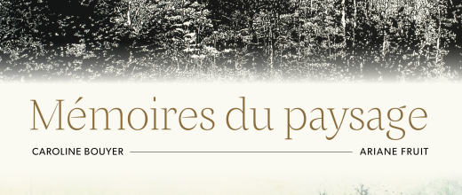 Affiche exposition Mémoires du paysage
