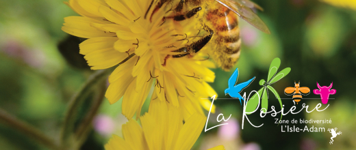 Affiche Fête de la nature